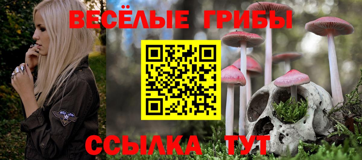 Волжский  Галлюциногенные грибы Magic Shrooms  Вход с VPN  Псилоцибиновые грибы мухоморы 