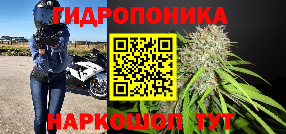 Бошки марихуана конопля Волжский